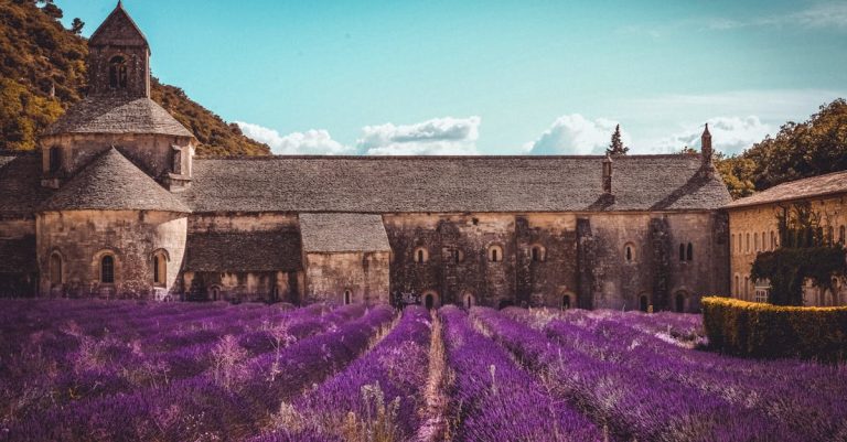 Comment profiter de la douceur provençale en chambre d&rsquo;hôtes ?