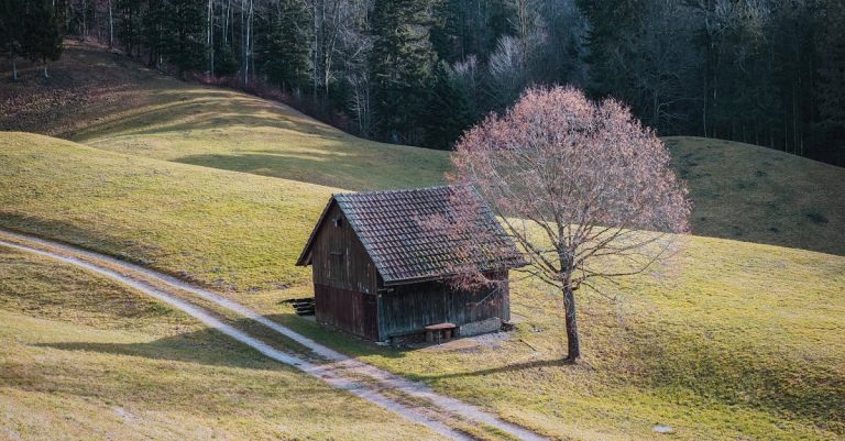 Envie de vivre une escapade champêtre en chambre d&rsquo;hôtes ?
